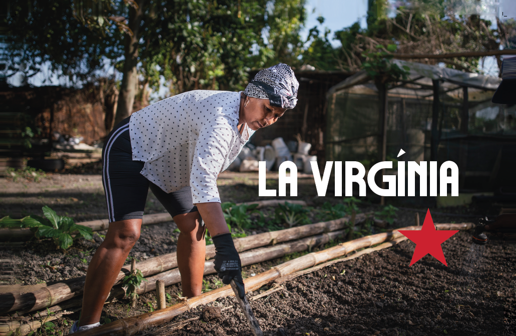 Virginia con estrella